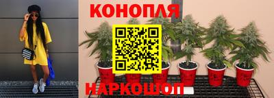 гашик Свободный