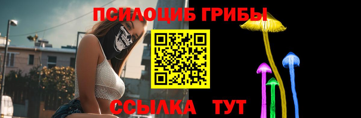 Псилоцибиновые грибы мицелий  Вход с VPN  даркнет сайт  Обь 